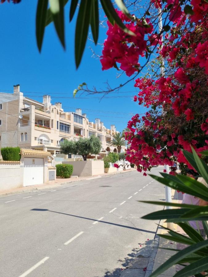 Ferienwohnung Flamenco Penthouse Sea View & Swimming Pool Torrevieja Exterior foto